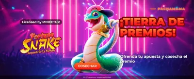 Promociones exclusivas de Inkabet Perú
