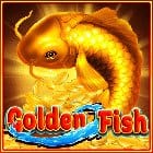 Golden Fish